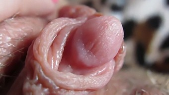 Get A Close-Up View Of My Swollen Clit
