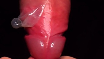 Exclusive Close-Up Video Of Condom Milking Blowjob With Asmr Sucking