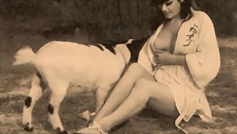 Classic And Taboo: Vintage Video Of A Woman And Her Dog